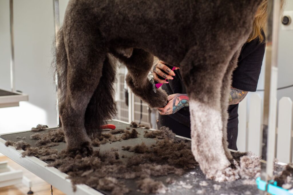 Grooming workspace showing grooming process in progress