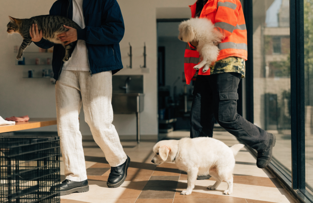 Breed based pricing